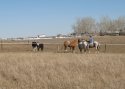 horses out in pasture with one being ridden bareback