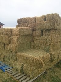 Hay in the stack