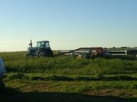 swathing the second cut of alfalfa